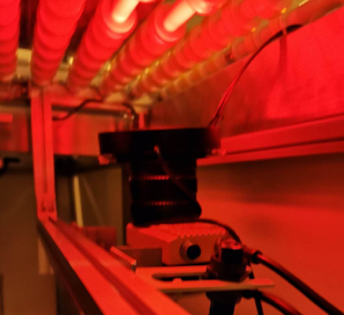 1701139091270757.png image.png